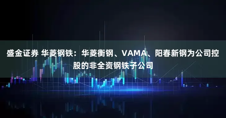 盛金证券 华菱钢铁：华菱衡钢、VAMA、阳春新钢为公司控股的非全资钢铁子公司